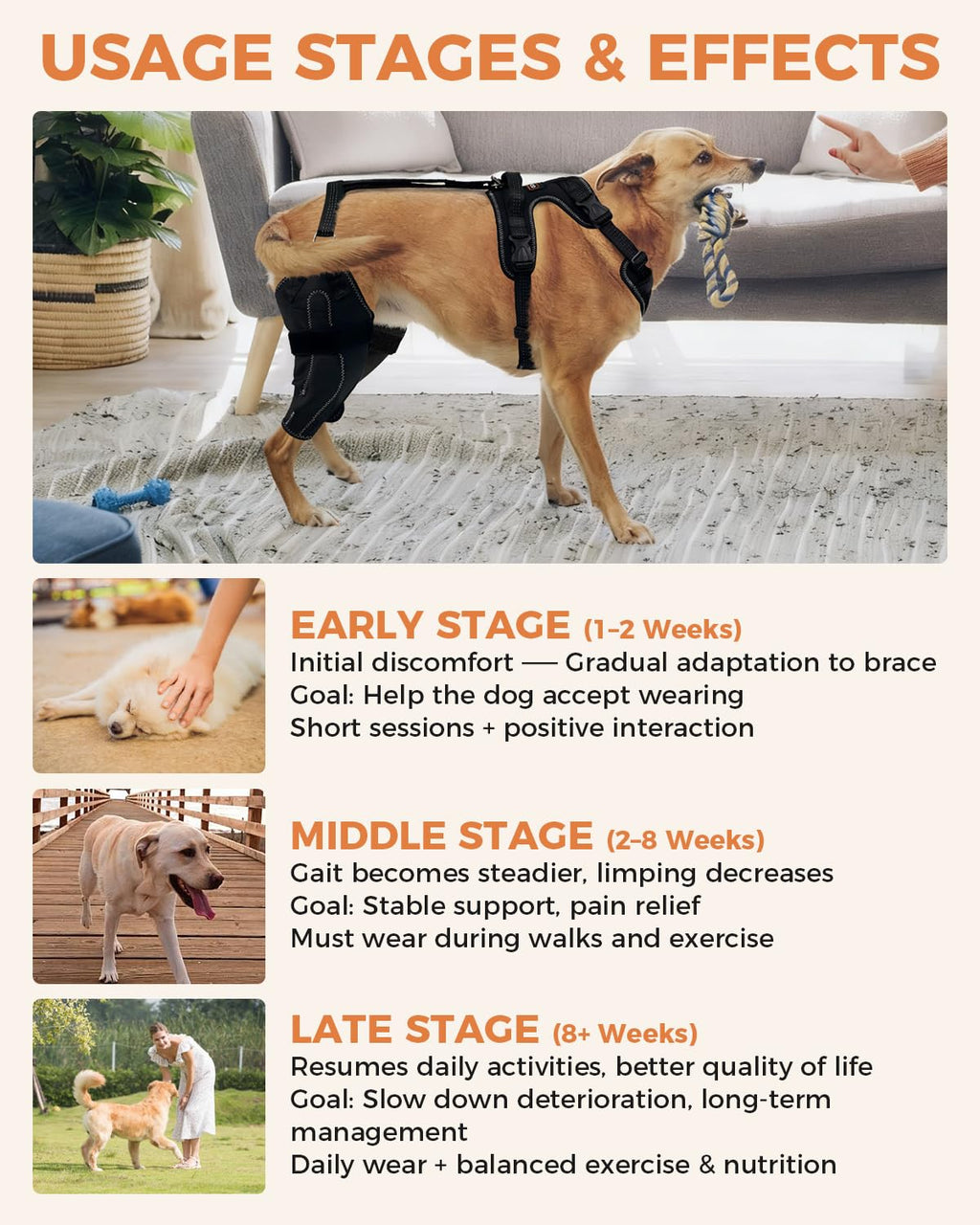 Dog Knee Brace for Luxating Patella,Torn Ligament,Both Legs/M Size