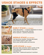 Dog Knee Brace for Luxating Patella,Torn Ligament,Both Legs/M Size
