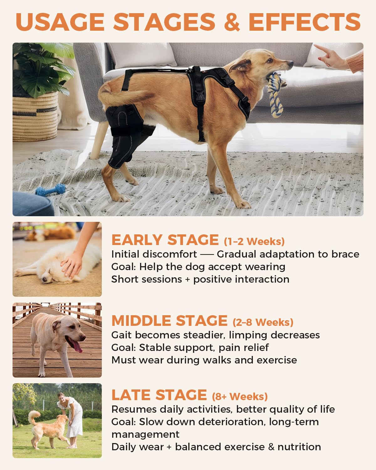 Dog Knee Brace for Luxating Patella,Torn Ligament,Both Legs/M Size