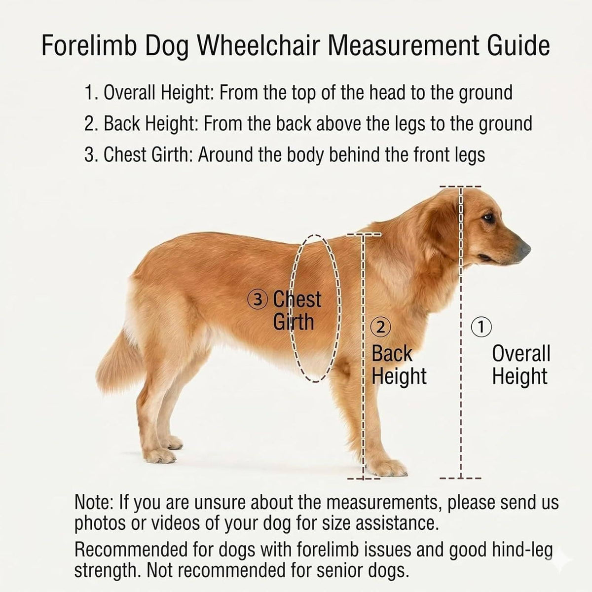 Dog Wheelchair for Front Legs, Canine Mobility Aid
