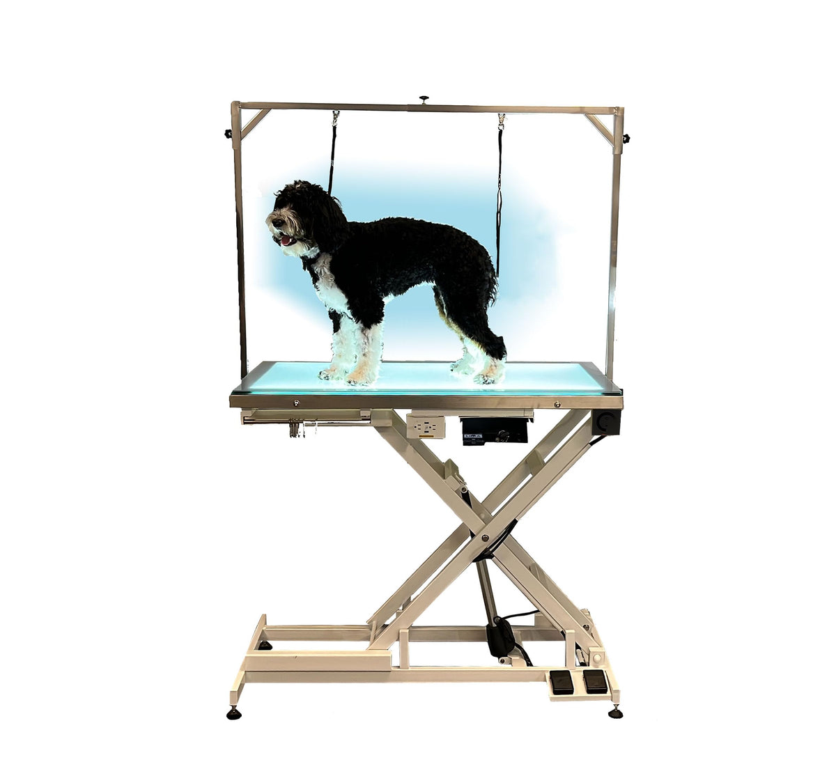 LED Lit Master Groomer Electric Lift Grooming Table (Basic Package)