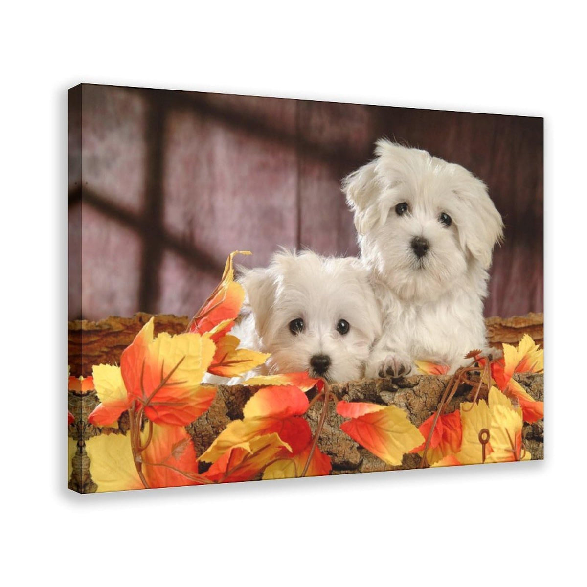 White Puppies with Autumn Leaves Canvas Wall Art, Framed