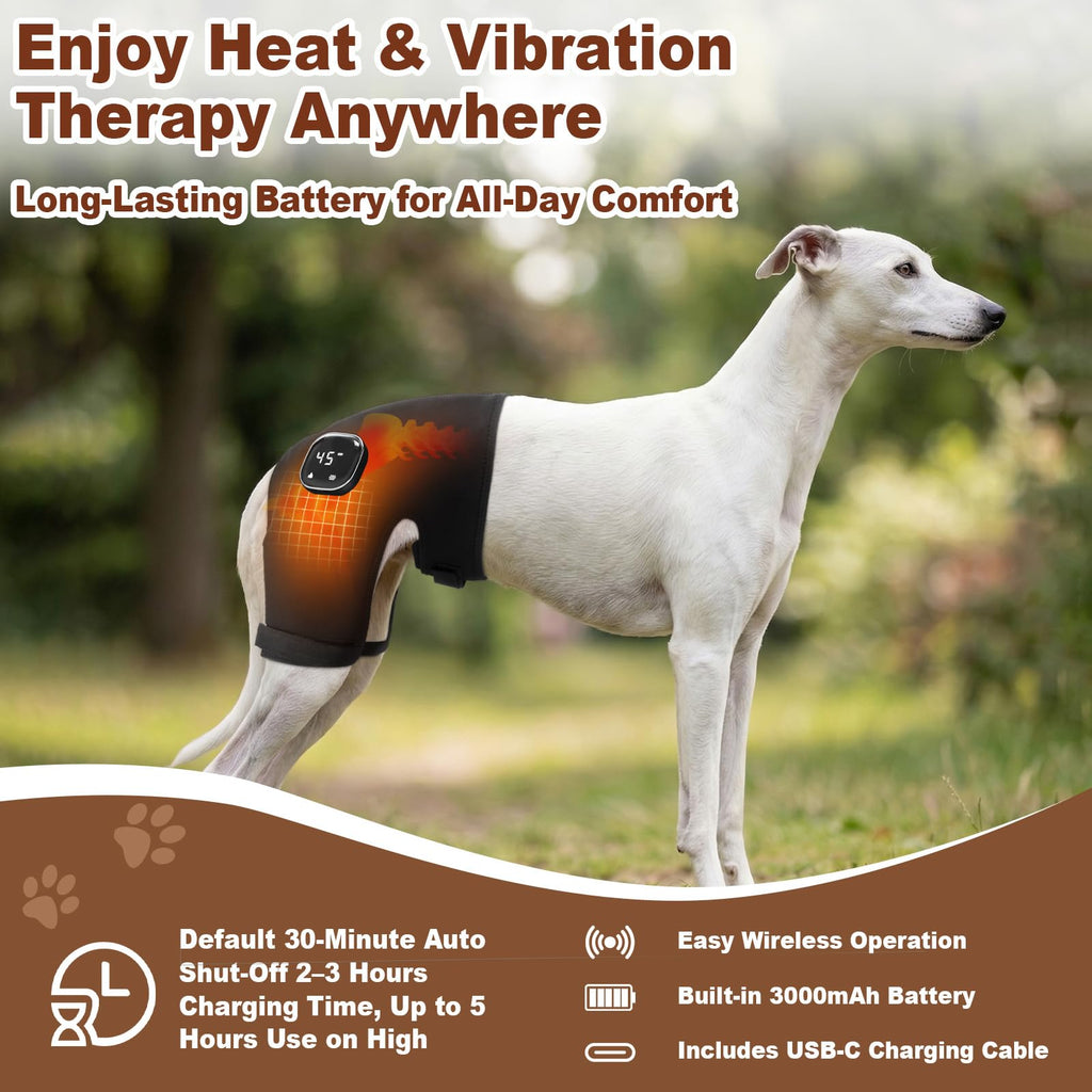 Dog Hip Brace with Heat & Vibration, Patent Pending（Female Dog, XXL)
