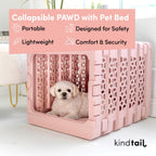 KindTail Dog Crate + Orthopedic Pet Bed + Crate Pad + Pet Bowls + Food Mat - Collapsible Pet Crate with Pad and Orthopedic Bed for Pets up to 25 Lbs - Includes (2) Bowls and a Silicone Mat - Medium