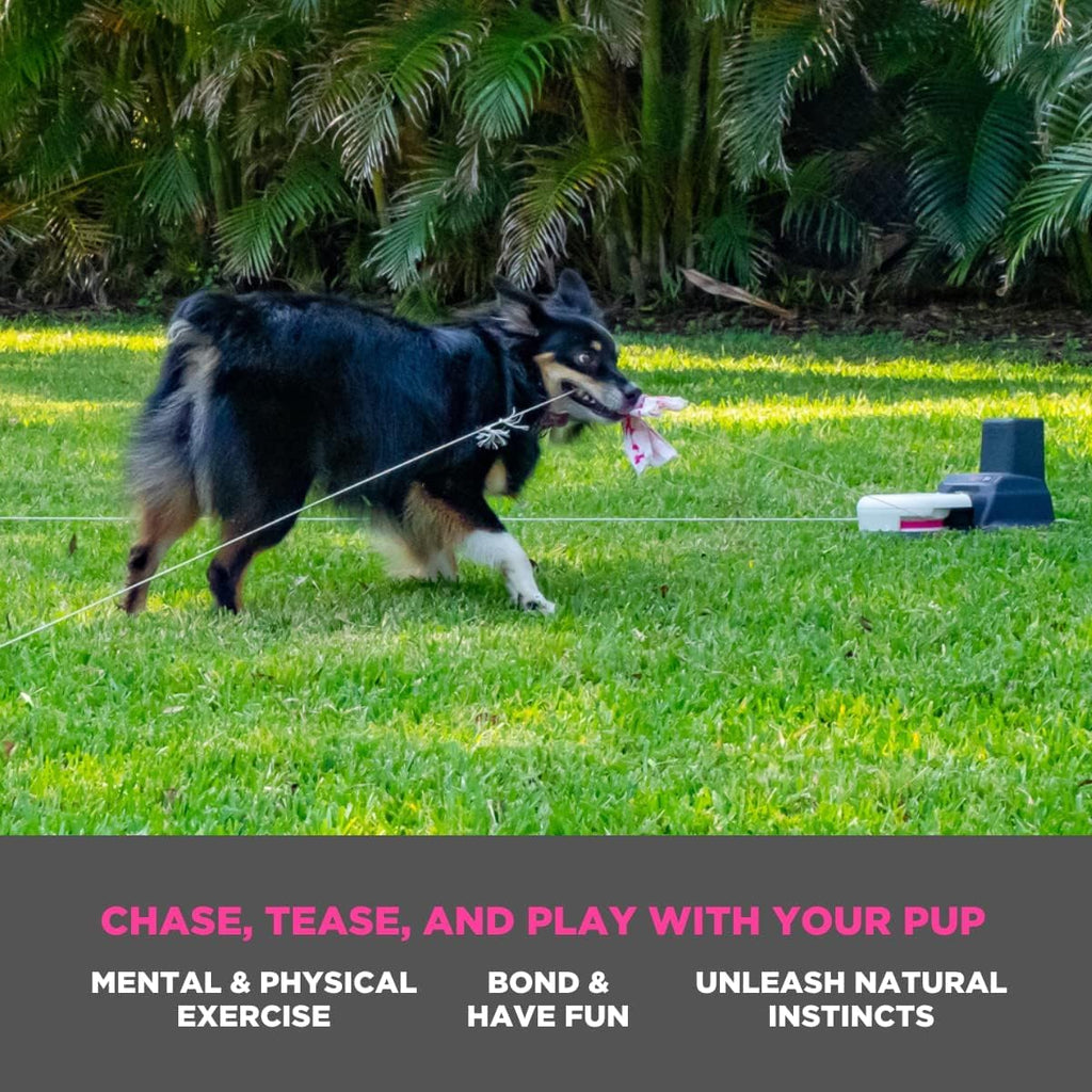 Swift Paws - Chase! - App-Control Dog Toy - Capture the Flag Lure Course - Interactive Dog Enrichment Toy
