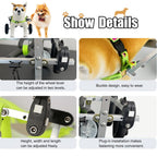 Small Dog Knee Brace for Torn ACL, Adjustable Pet Wheelchair, Hind Leg Support, Dog Hip Brace, Animal Exercise Wheels for Small Dogs (Size S)