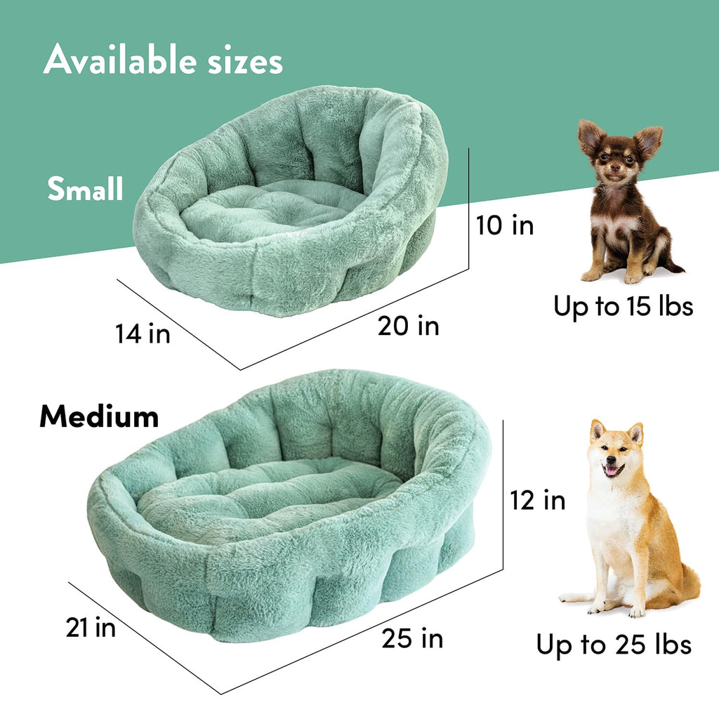 KindTail Dog Crate + Orthopedic Pet Bed + Crate Pad + Pet Bowls + Food Mat - Collapsible Pet Crate with Pad and Orthopedic Bed for Pets up to 25 Lbs - Includes (2) Bowls and a Silicone Mat - Medium