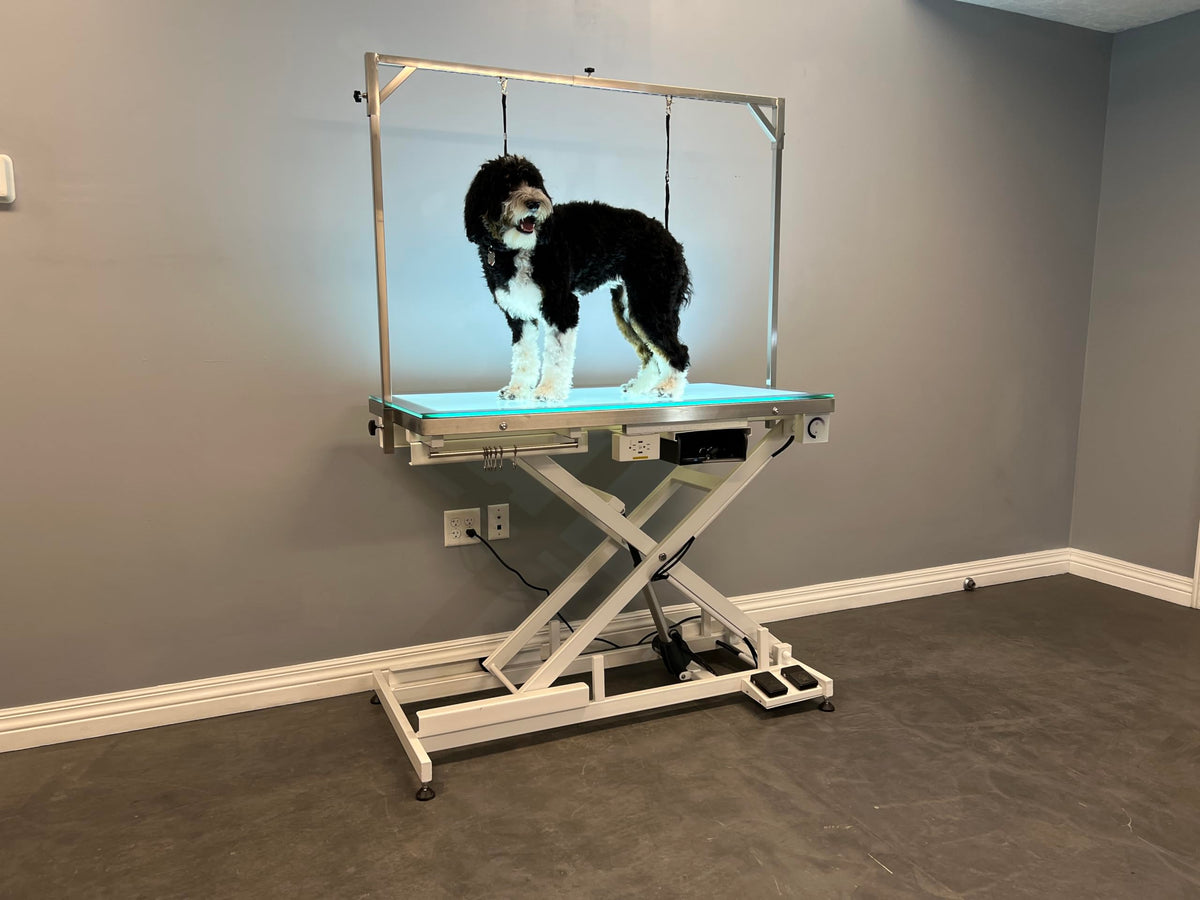 LED Lit Master Groomer Electric Lift Grooming Table (Basic Package)