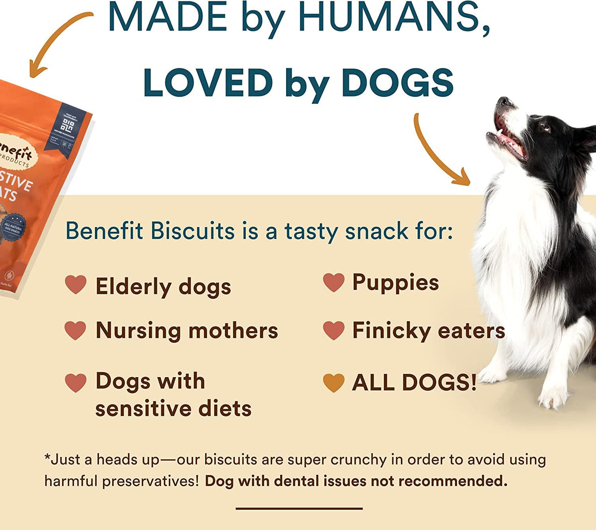 Benefit Biscuits Dog Treats, Pumpkin, 10lb Box