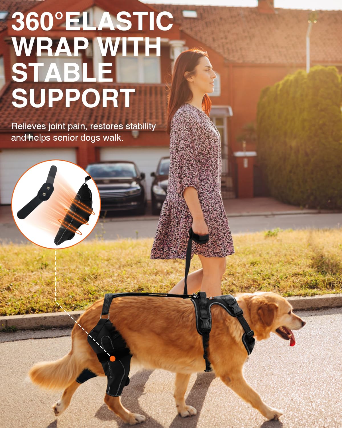 Dog Knee Brace for Luxating Patella,Torn Ligament,Both Legs/M Size