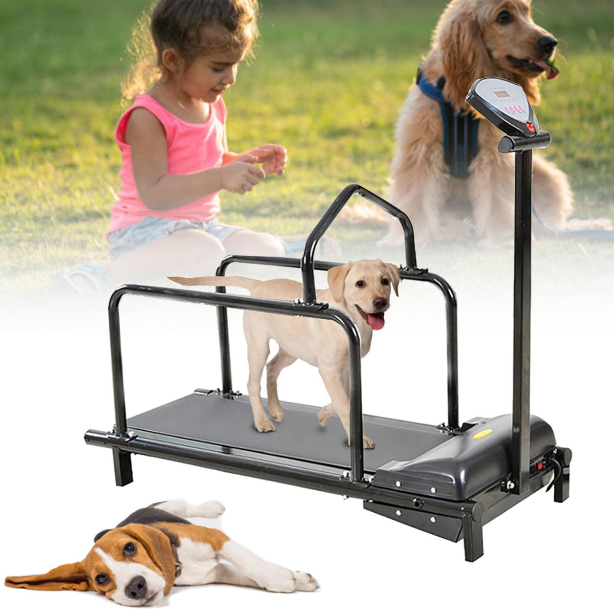 Indoor Dog Treadmill for Exercise, Supports Up to 176 lbs, Perfect for Small to Large Dogs, Ideal for Weight Loss & Fitness Training