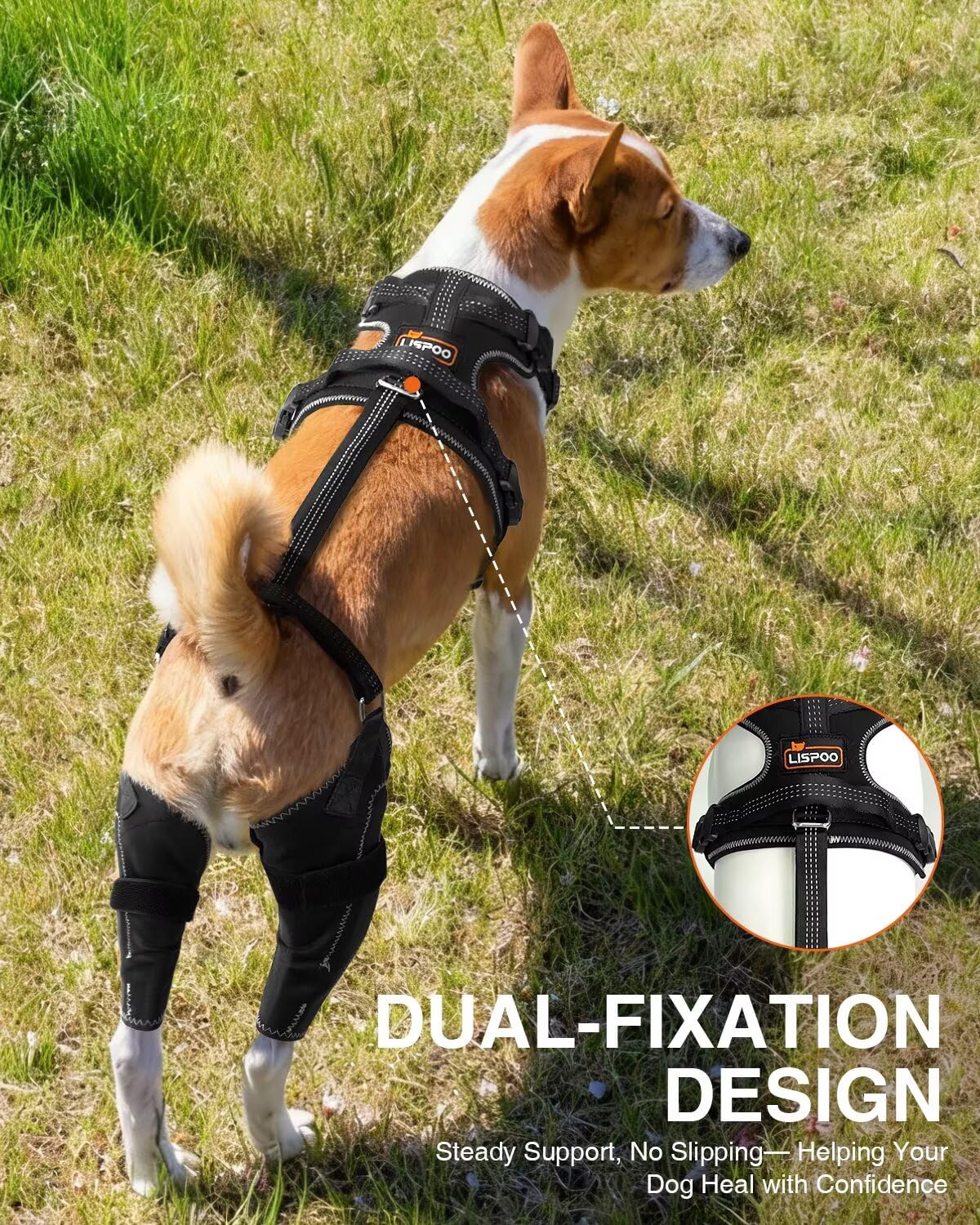 Dog Knee Brace for Luxating Patella,Torn Ligament,Both Legs/M Size