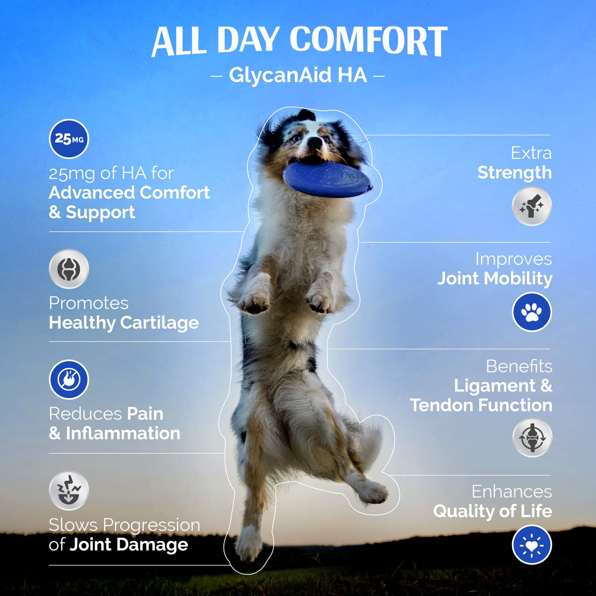 GlycanAid HA Advanced Joint Nutrition for Dogs (300 Chewable Tablets) Made in USA with USA Ingredients: Glucosamine HCL, Chondroitin, Hyaluronic Acid, MSM