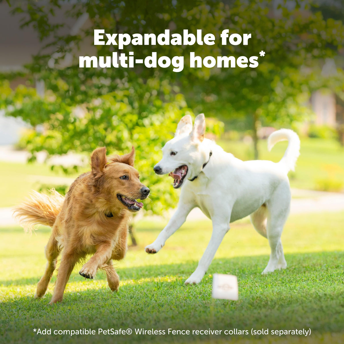 PetSafe Stay & Play Wireless Fence, 3/4-Acre