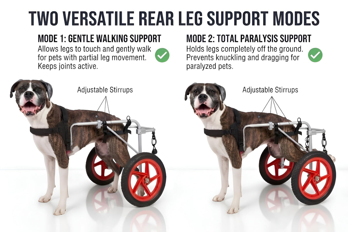 Dog Wheelchair for Back Legs - Dog Wheelchair K9 Orthopedic Surgeon Designed & Tested - Adjustable Lightweight All-Terrain Wheels for Dogs Back Legs - Mobility Cart by Best Friend Mobility - X-Large