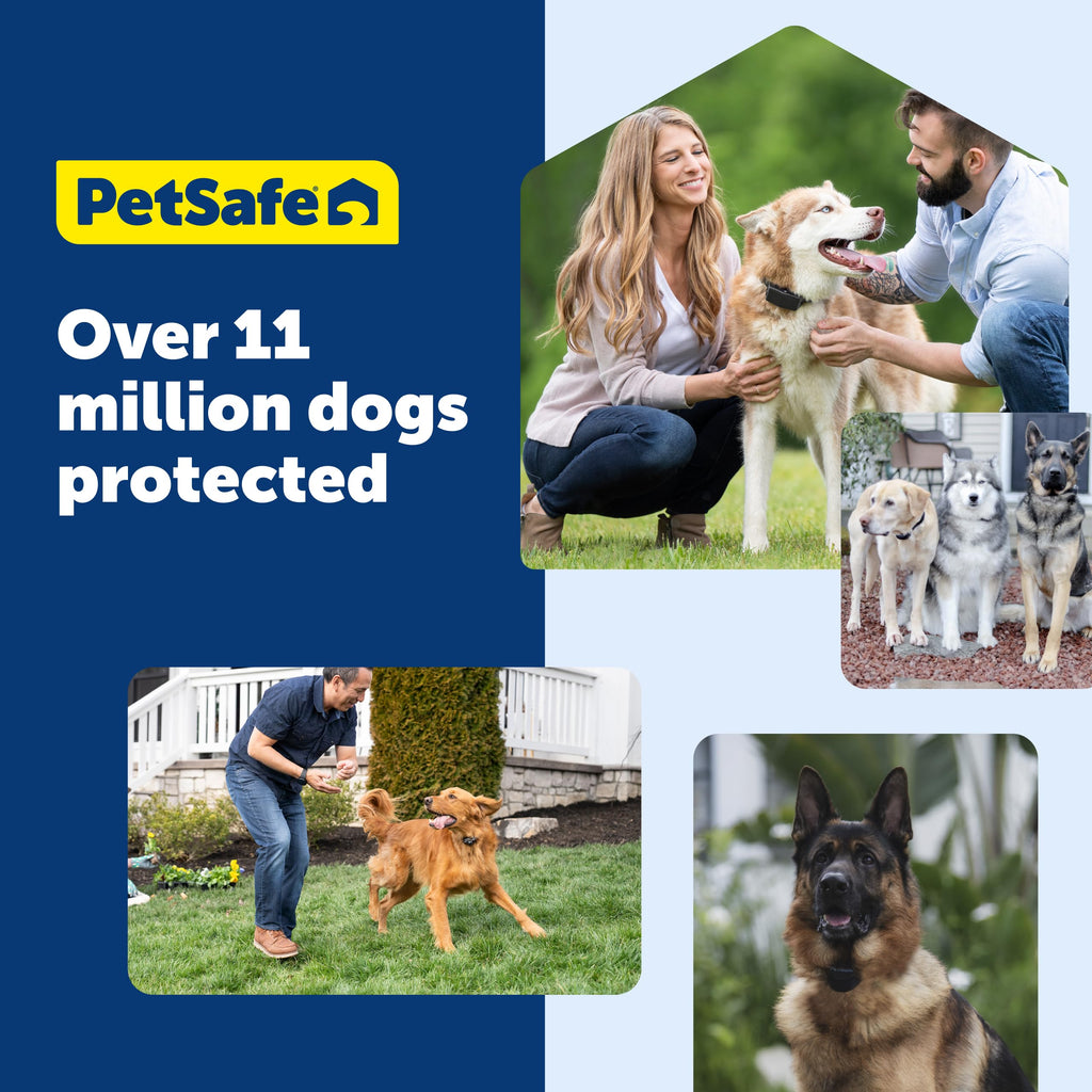 PetSafe Stay & Play Wireless Fence, 3/4-Acre