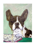 SCHMETZPETZ french bulldog reading dog art print - stretched canvas or paper print