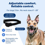 PetSafe Stay & Play Wireless Fence, 3/4-Acre