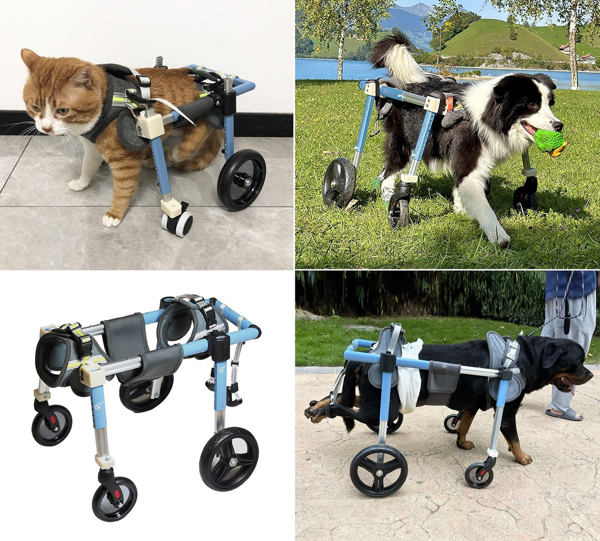 Dog Wheelchair for Front and Back Legs, Adjustable Portable Leg Braces, Full Support for All Breeds, Pet Treadmill Assist, Includes Adjustable Design, Ideal for Disabled Dogs.