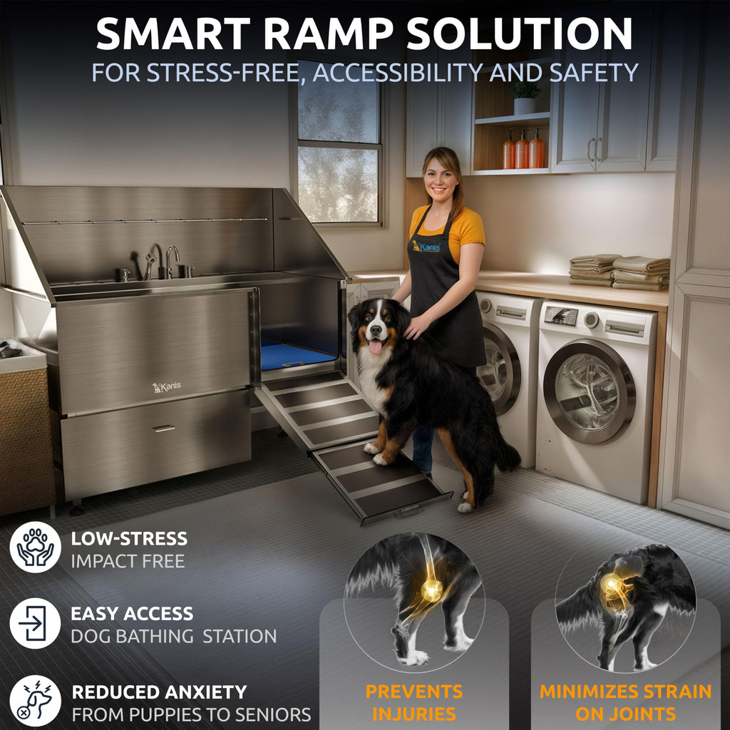 49" Professional Electric Dog Grooming Table, Black + 61" Professional Stainless Steel Dog Bathing Station, Right RAMP