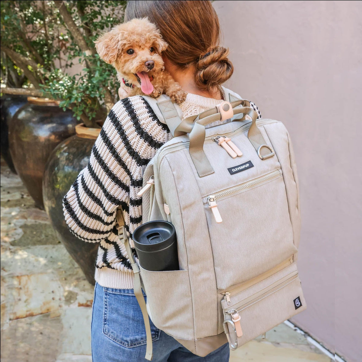 Ultimate Dog Travel Bundle Large 7-piece Bistro Box & Porter Dog Gear Backpack in Sand