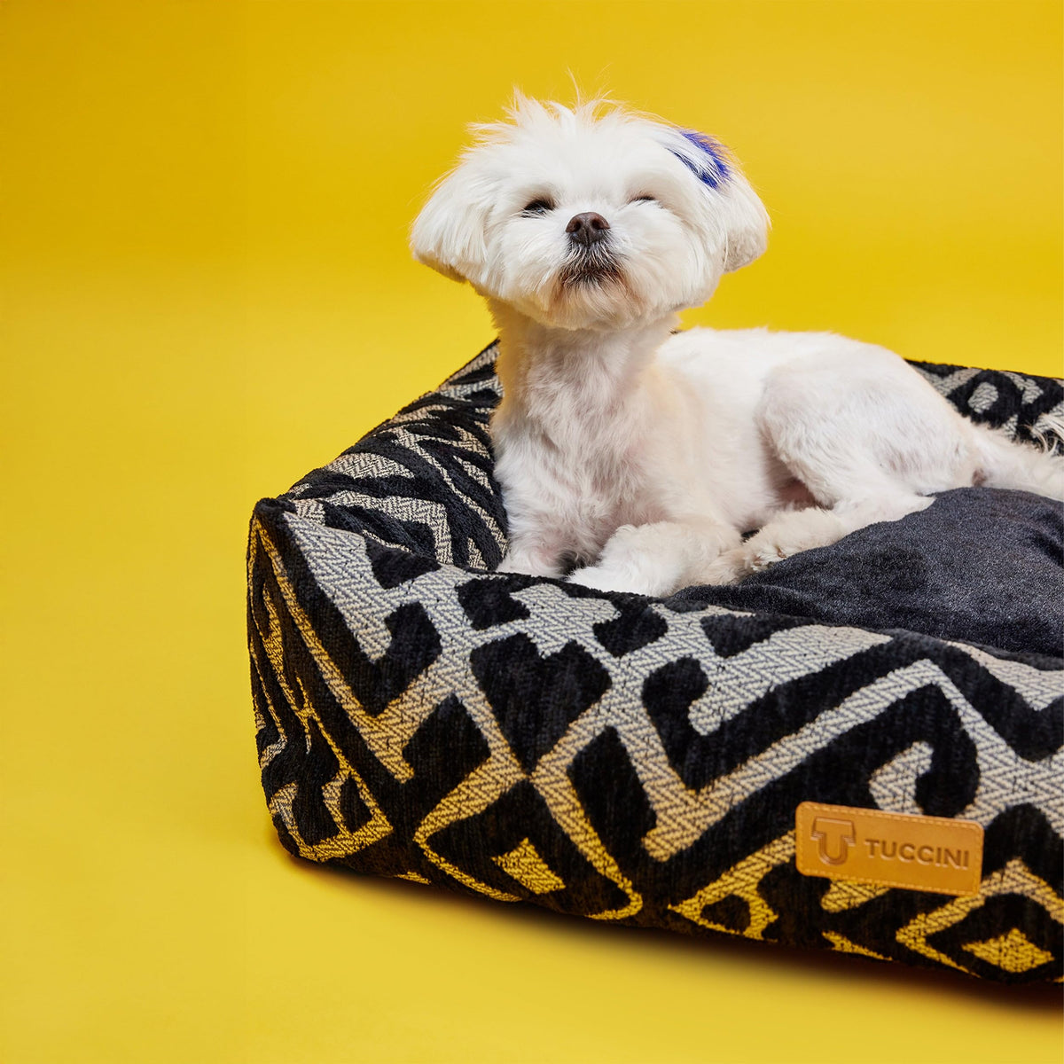 Orthopedic Medium Dog Bed, Raised Edges Plush Bolster, Calming Pet Bed