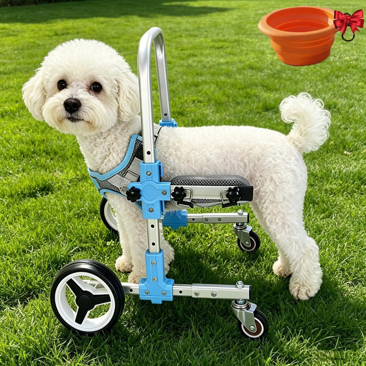 Dog Wheelchair for Front Legs, Canine Mobility Aid