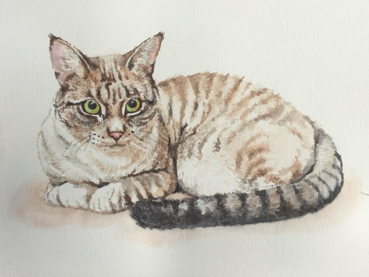 Custom pet portrait from your photo,cat or dog portrait