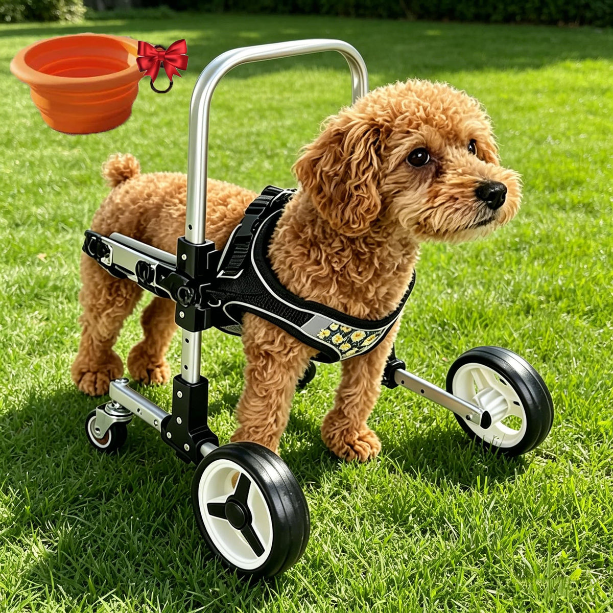 Dog Wheelchair for Front Legs, Canine Mobility Aid